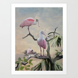 Spoonbills Of Florida Art Print