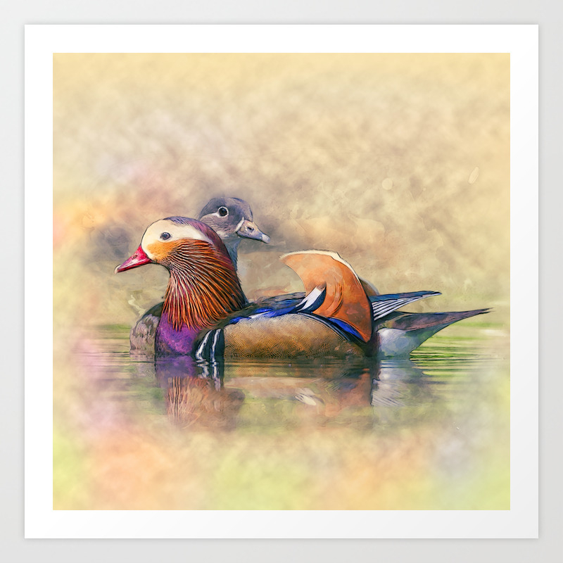 Mandarin Ducks Feng Shui : Vastu Tips According To Feng Shui Keep Mandarin Ducks For Love Life : You'll receive email and feed alerts when new items arrive.