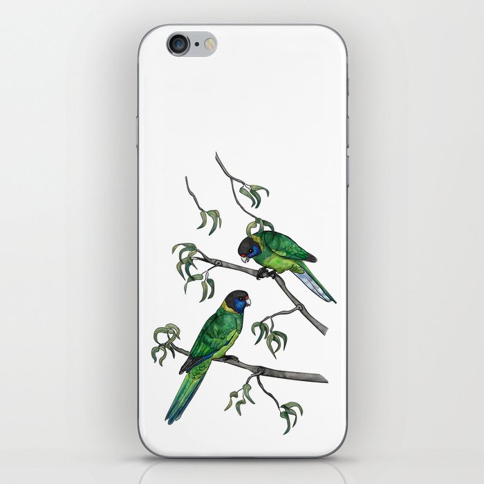 Ringneck Parrots iPhone Skin