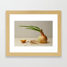 Sliced onion Framed Art Print