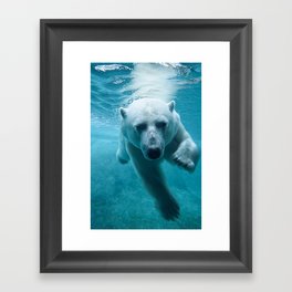 Polar Bear Swimming Framed Art Print