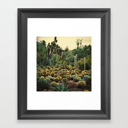 Cactus garden, 1 Framed Art Print