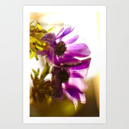 Flower Reflection Like A Kiss Art Print