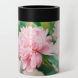 Pink Peonies Can Cooler