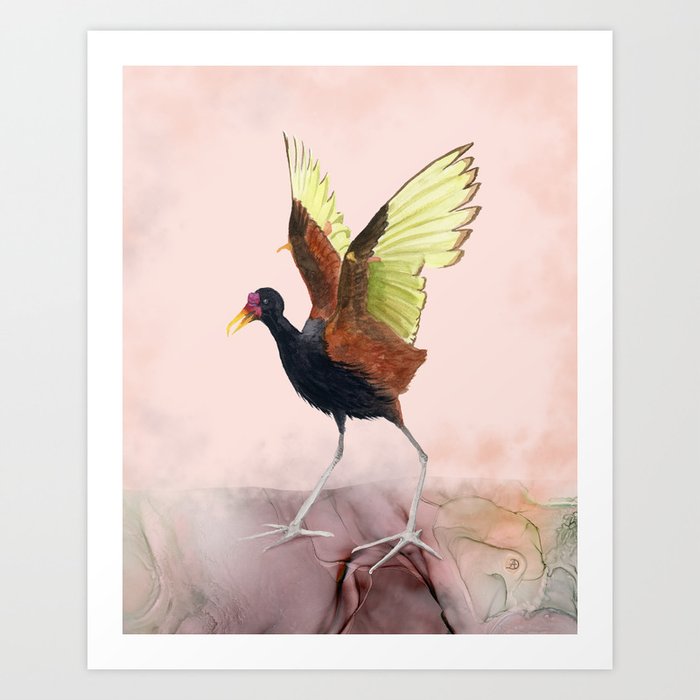 Jacana Shorebird Watercolor Painting. Brown decor gift for birdwatchers, fishermen. Wader Bird flapping wings Art Print