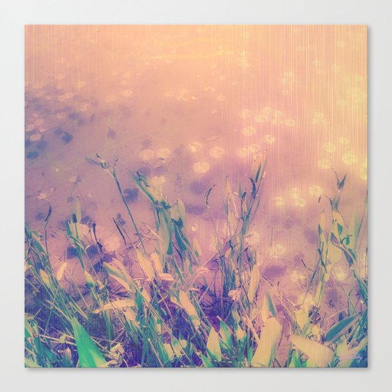 Lotus Pond and Spring Sunshine Canvas Print