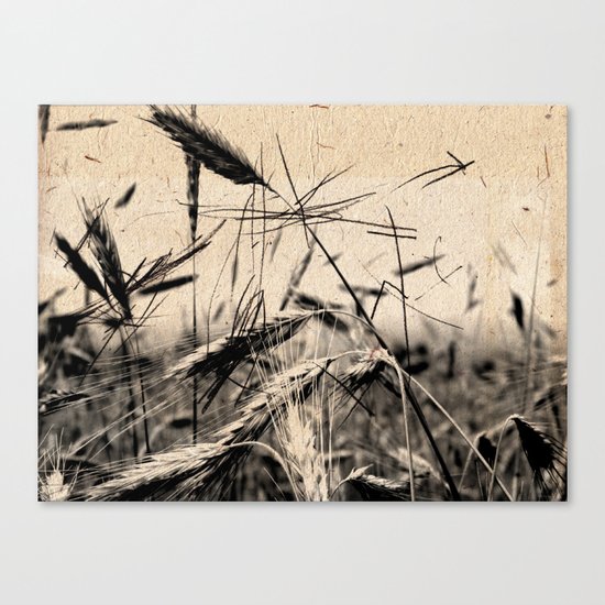 DRESSED GRAIN Canvas Print