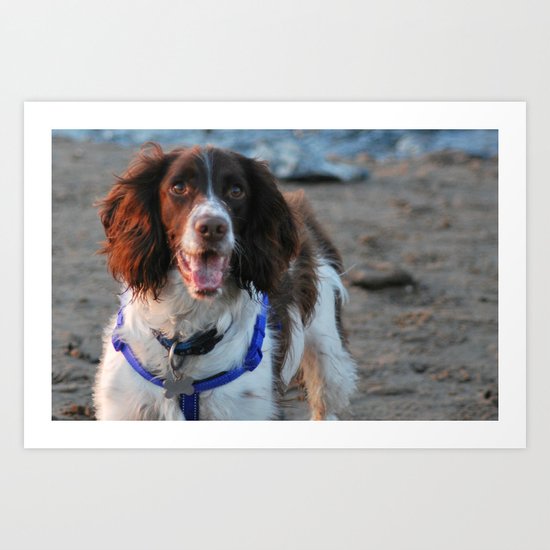 walks on the beach Art Print
