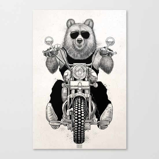 carefree bear Canvas Print