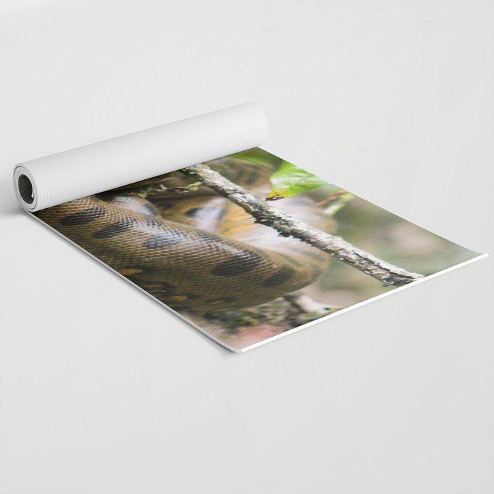 anaconda yoga mat