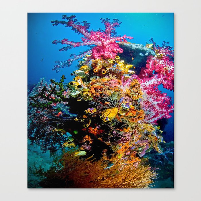 Sea Fish Canvas Print