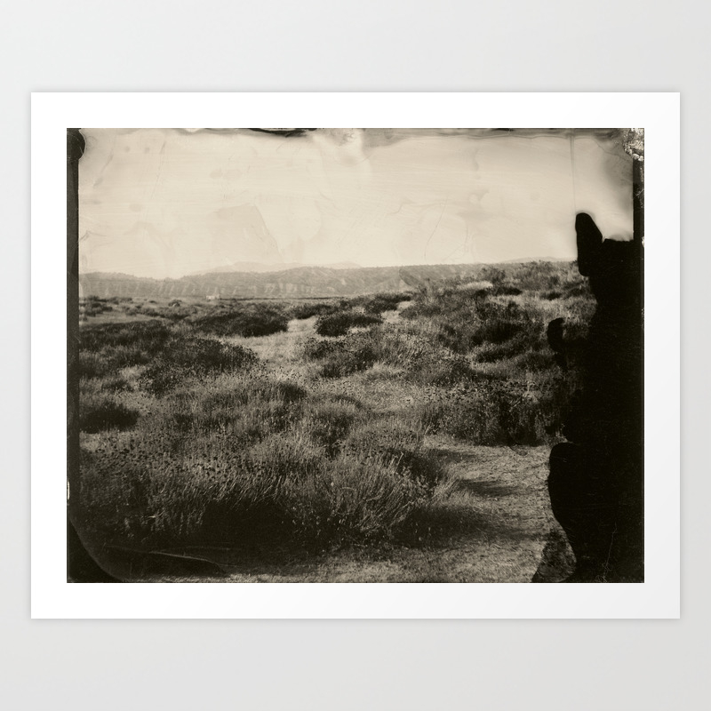 Tintype Of Western Landscape Art Print By Markelsonpictures Society6 Our gallery is here to turn empty walls into a cute and quirky display of animal art.