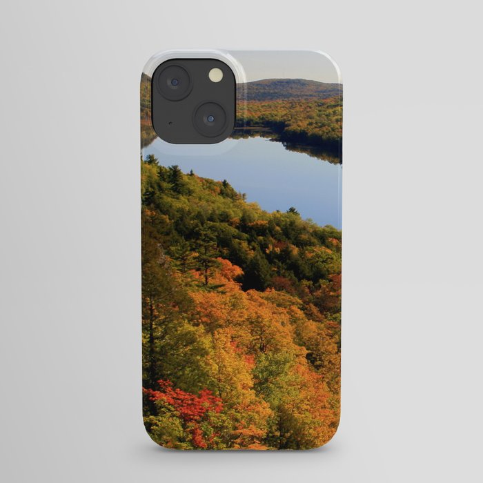 Autumn Splendor iPhone Case
