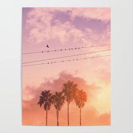 BIRDS ON A WIRE Poster