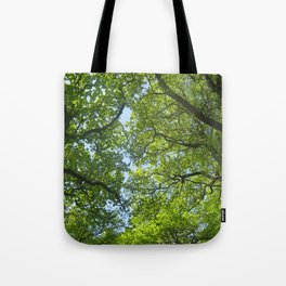 New Forest Beech Canopy Tote Bag