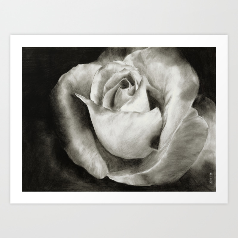 Charcoal Rose Art Print By Chanavoola Society6 Contrasting matt grey and rose gold metallic finishes that create a natural marble effect, it's a wallpaper that will create impact. charcoal rose art print