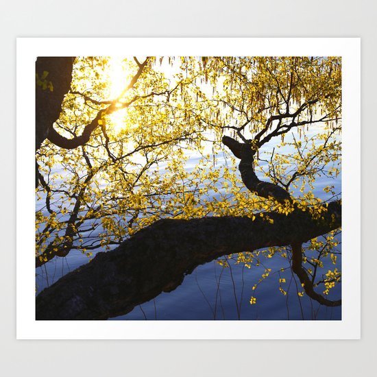 Spring Is In The Air Art Print
