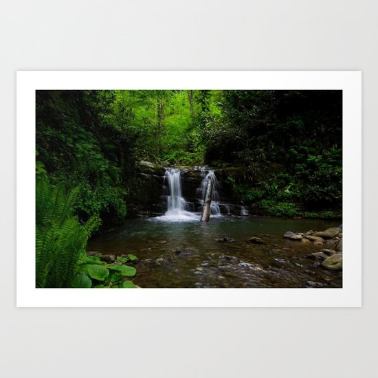 naturel forest lake Art Print