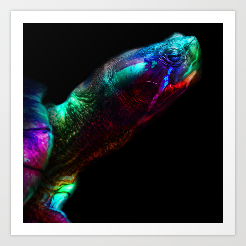 Sea Turtle Oil Painting Illustration Graphic Design Ocean Beach