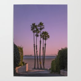 Purple Palms Poster