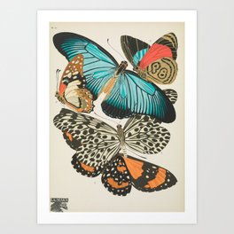 Butterfly Print by E.A. Seguy, 1925 #2 Art Print