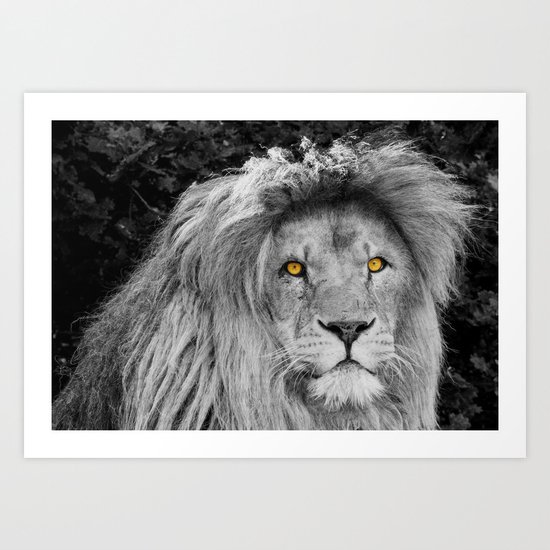 LION BEAUTY Art Print