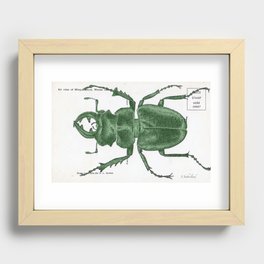 Green Beetle Postcard Recessed Framed Print