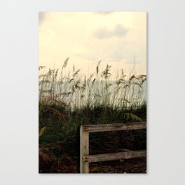 Don't Fence Me In Canvas Print