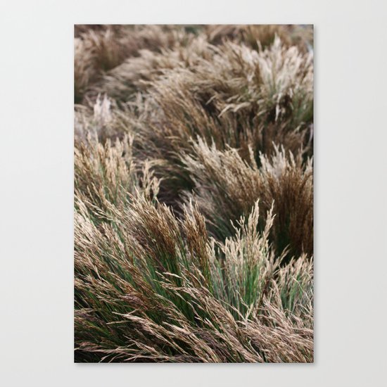 Restio Canvas Print