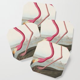 American Flamingo - John James Audubon Coaster