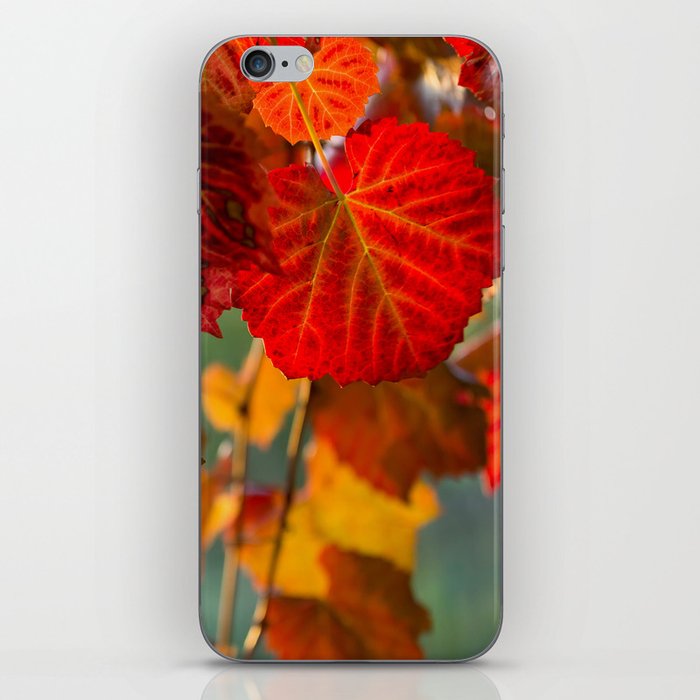 Autumn leaves 1 iPhone Skin