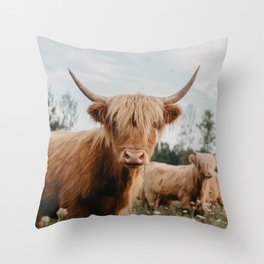 Pillows By Chelsea Victoria Society6