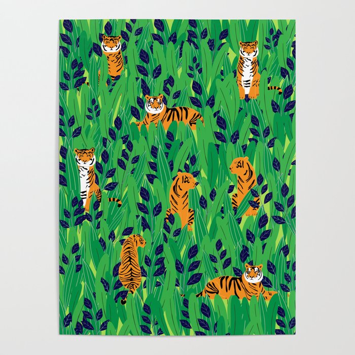 Tigers in the jungle Poster