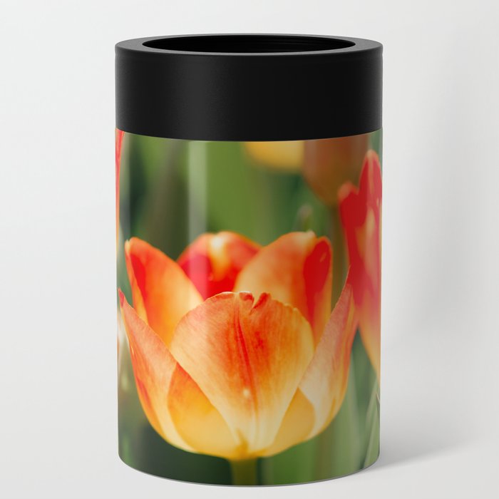 Yellow and Red Tulips II Can Cooler