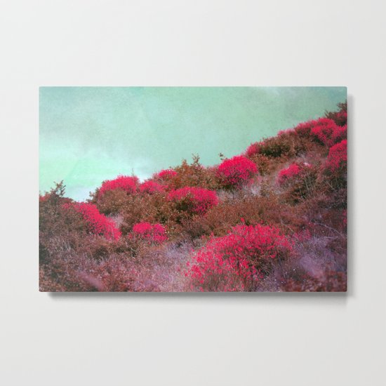 the hill Metal Print