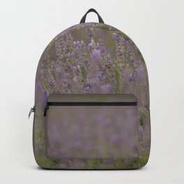 Bee In The Middle With Me Lavender Landscape Photograph Backpack