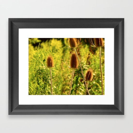 Country Side Framed Art Print