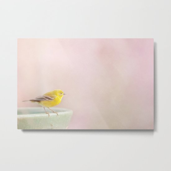 Little Pine Warbler Metal Print