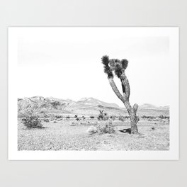 Vintage Desert Scape B&W // Cactus Nature Summer Sun Landscape Black and White Photography Art Print
