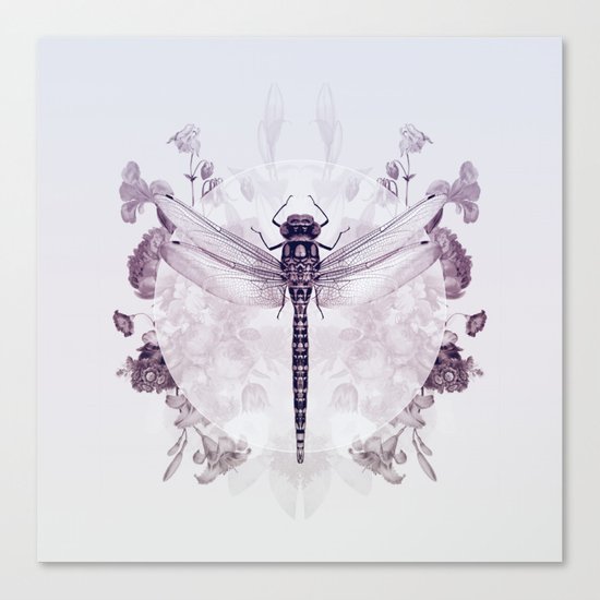 spirit level Canvas Print