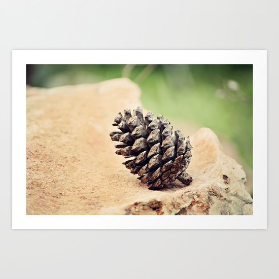 Pinecone Art Print