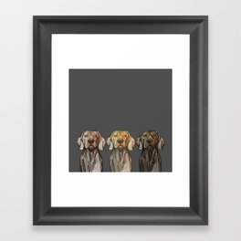 Triple Hunting Dogs in Dark Framed Art Print