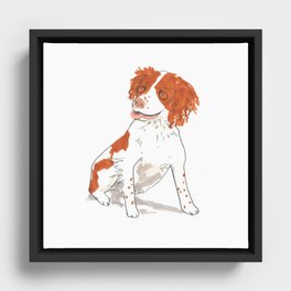 Springer Spaniel Dog Framed Canvas
