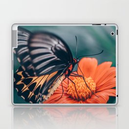 Butterfly flower | Nature Laptop Skin