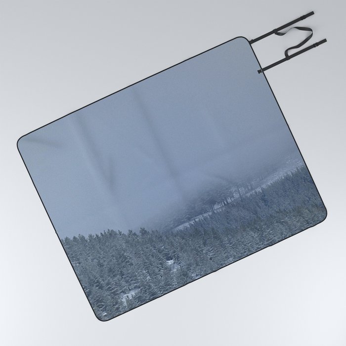 Mad March Snow in a Scottish Highlands Pine Forest Picnic Blanket