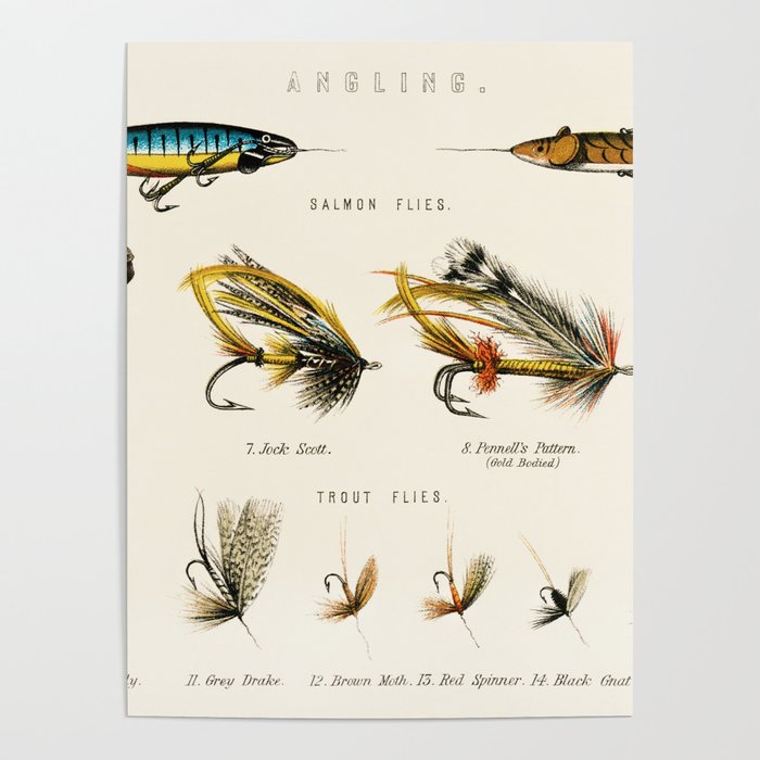 Illustrated Freshwater Fish Angling baits and fishing flies chart Poster by  Atlantic Coast Arts and Paintings