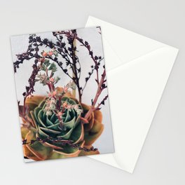 Cactus flower Stationery Cards