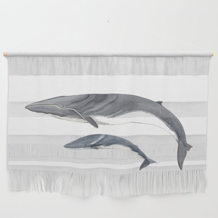 Fin whale Wall Hanging