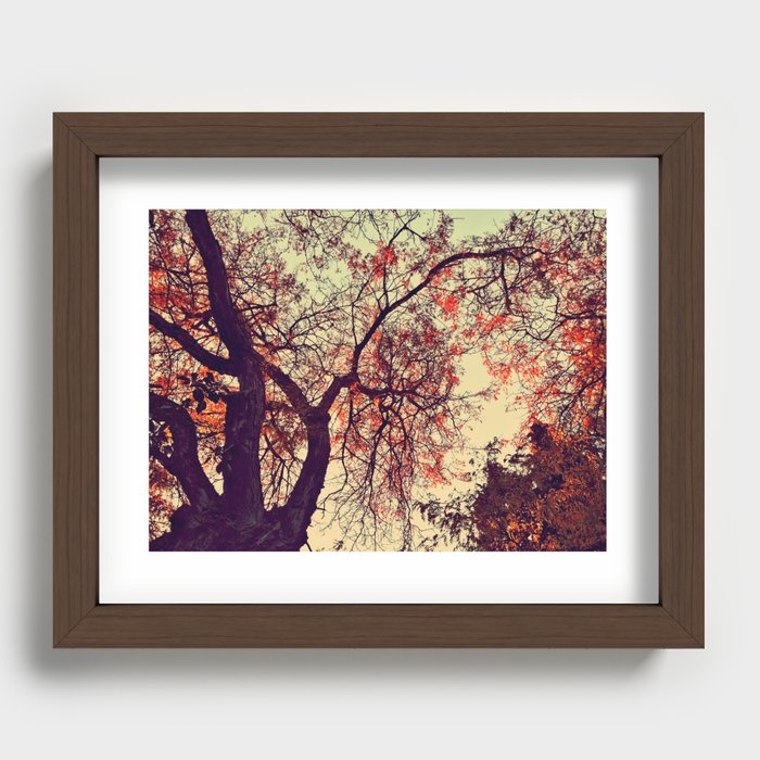 Fall Fire Recessed Framed Print
