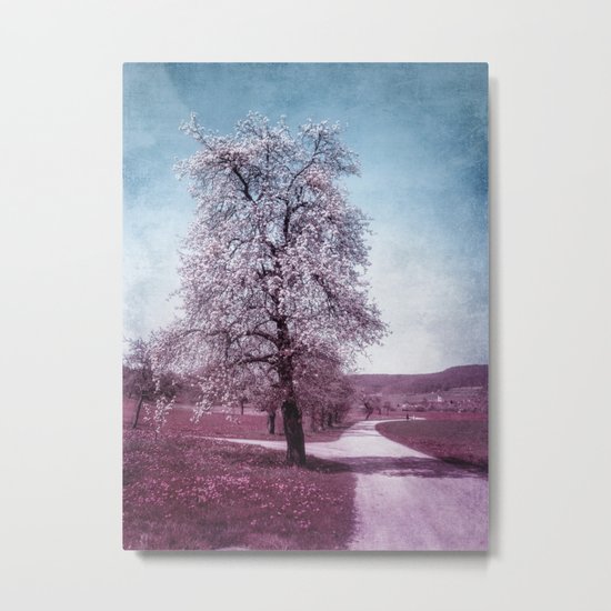 BLOOMING TIME Metal Print